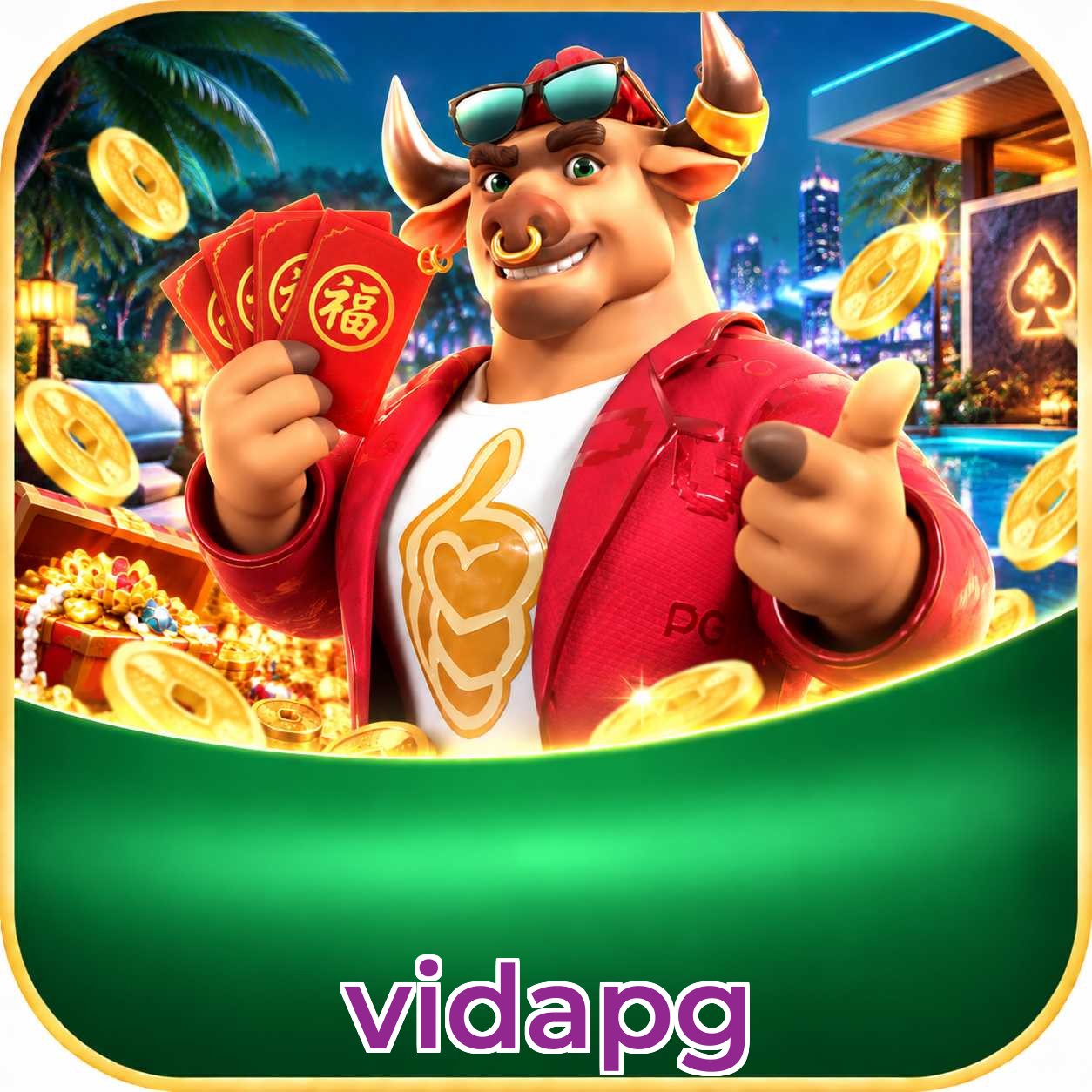 vidapg Logo 2